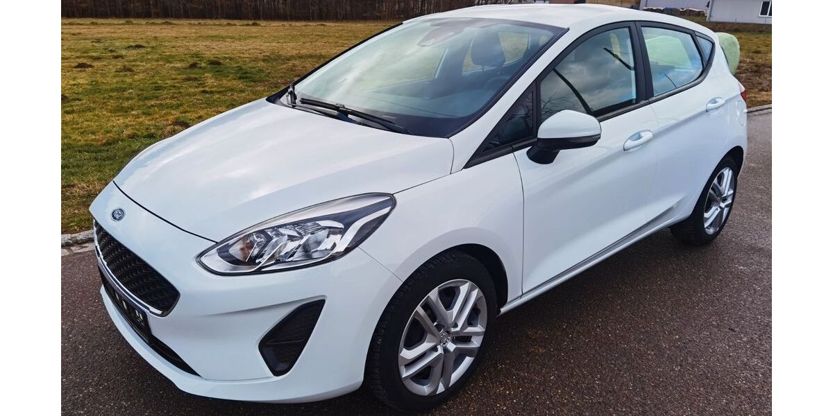 Ford Fiesta 179.531 km 8.790 &euro; Welden 86465