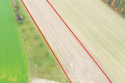 Grundstück zu verkaufen in Altomünster 149.000 € 8031 m²