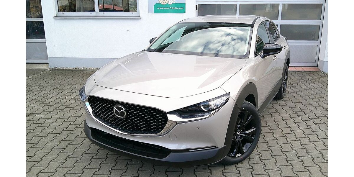 Mazda CX-30 2.500 km 26.980 &euro; Hollenbach b. Aichach 86568