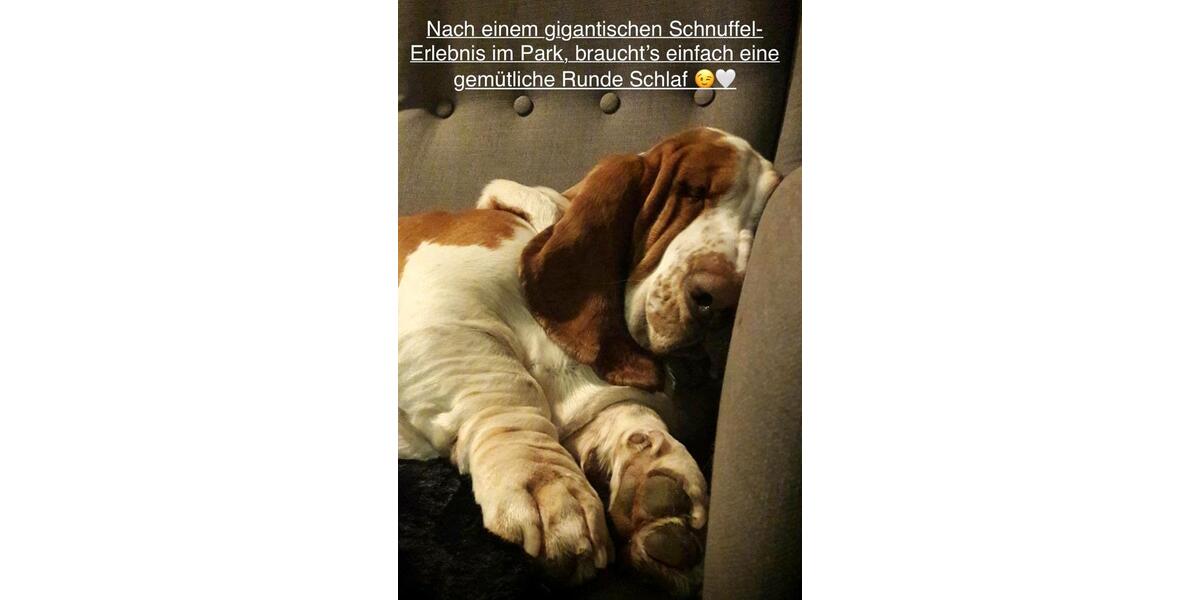 Doppelhaushälfte Schwabmünchen - 3 Zimmer, 90 m&sup2;, 418.000&euro; | Angebot:25626372