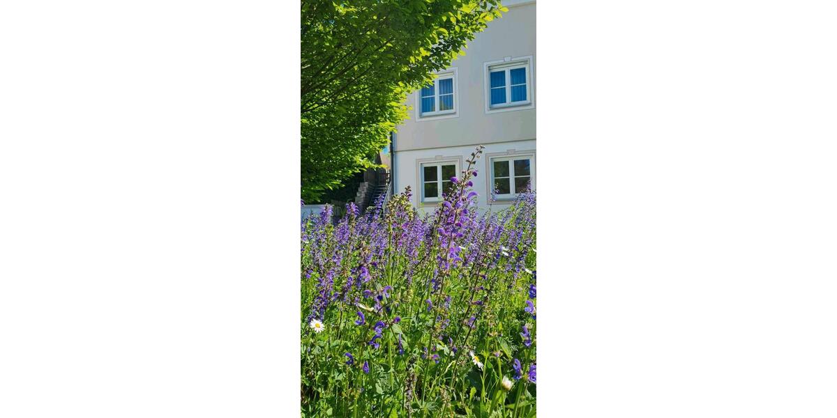 Einfamilienhaus Steindorf - 7 Zimmer, 244 m&sup2;, 880.000&euro; | Angebot:25979721