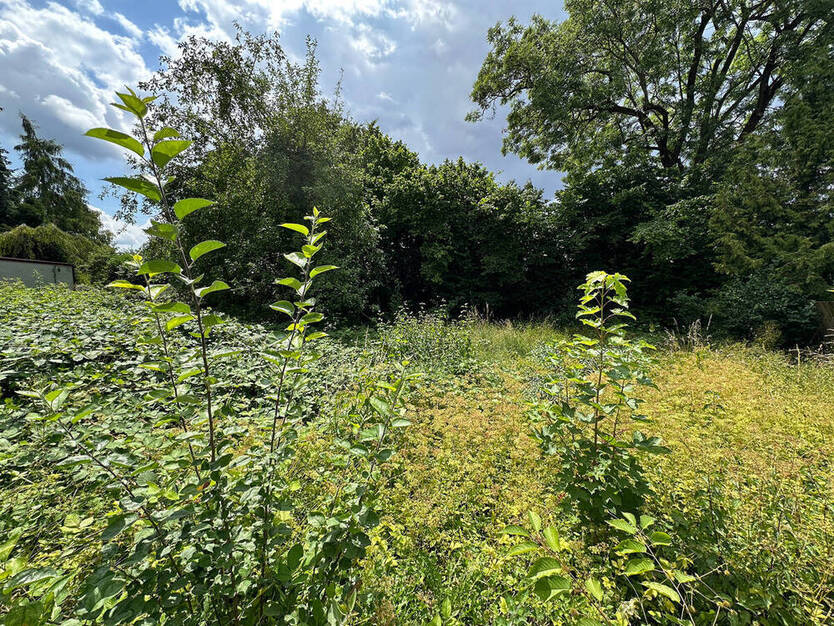 Großes Grundstück in Lechhausen, teilbar