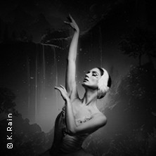 Grand Classic Ballet - Schwanensee - Jenseits der Bühne mit live Streichquartett 11.02.2027 Stadthalle Schwabmünchen