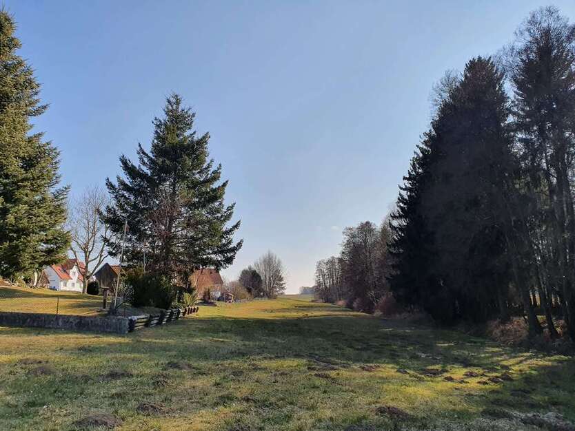 Grundstück zu verkaufen in Mittelstetten 479.000 € 559 m²