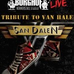 San Dalen - Van Halen Tribute