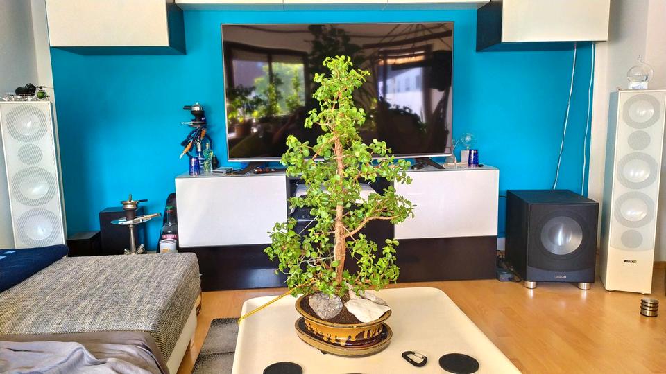 Etagenwohnung Augsburg Antonsviertel - 2 Zimmer, 56 m&sup2;, 1.400&euro; | Angebot:25876486