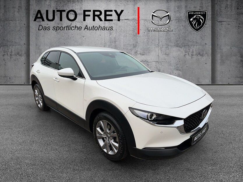 CX-30