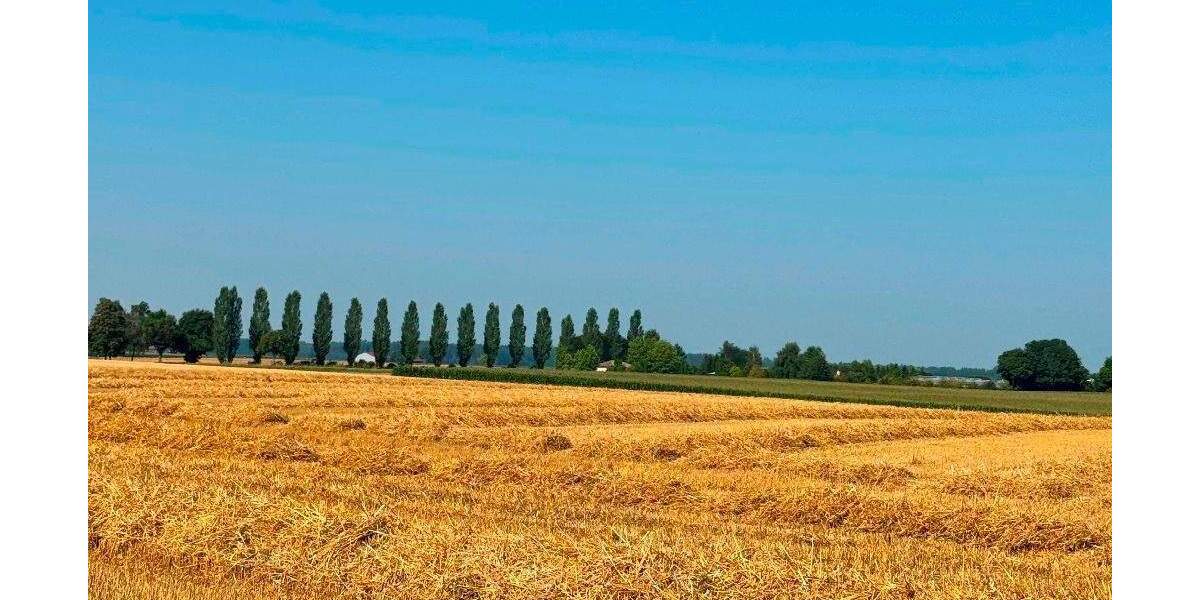 Etagenwohnung Weil - 2 Zimmer, 60 m&sup2;, 359.900&euro; | Angebot:25802732