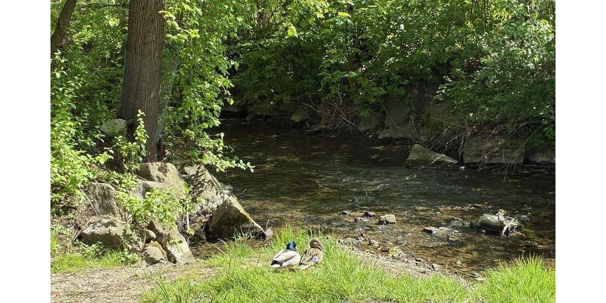 Etagenwohnung Mering - 4 Zimmer, 101 m&sup2;, 649.000&euro; | Angebot:25741971