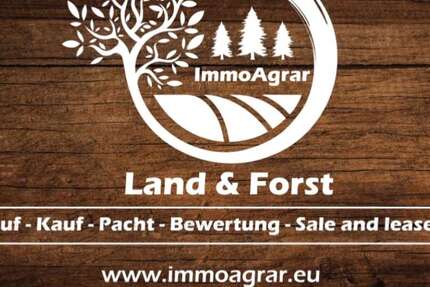 Grundstück in Ostendorf 84.500 € 6500 m² zimmer