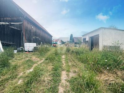 FRISCHE UND NATÜRLICHKEIT zimmer