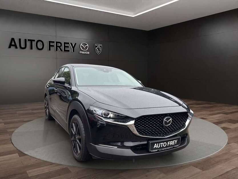 CX-30
