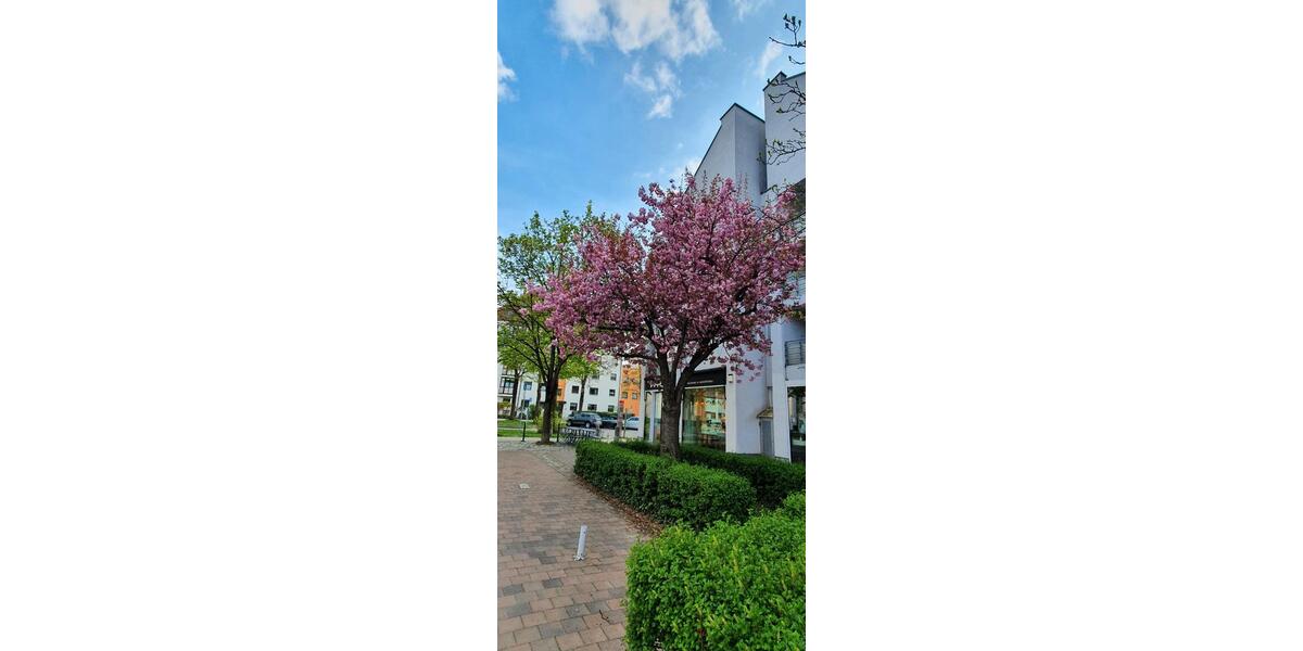Maisonettenwohnung Augsburg Antonsviertel - 4 Zimmer, 82 m&sup2;, 500.000&euro; | Angebot:26823835