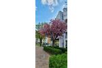 Maisonettenwohnung Augsburg Antonsviertel - 4 Zimmer, 82 m&sup2;, 500.000&euro; | Angebot:26823835