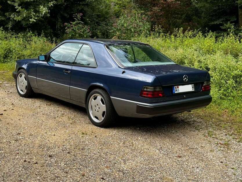 CE 230