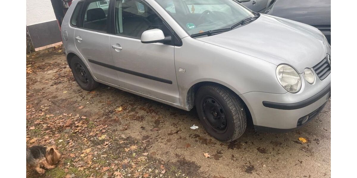 VW Polo 230.597 km 1.499 € Langerringen-Westerringen 86853