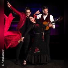 Café del Mundo - GuitaRevolution - Arena Premieren-Konzert