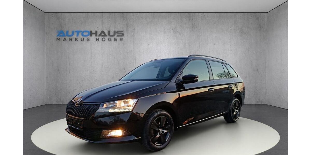 Skoda Fabia 48.929 km 15.490 &euro; Pöttmes 86554