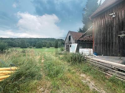 FRISCHE UND NATÜRLICHKEIT zimmer