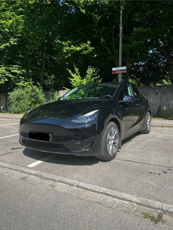 Model Y