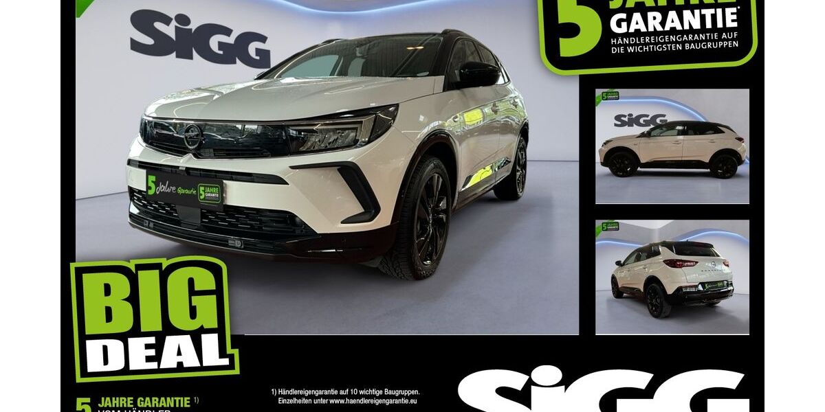 Opel Grandland (X) 12.509 km 24.580 &euro; Augsburg 86167