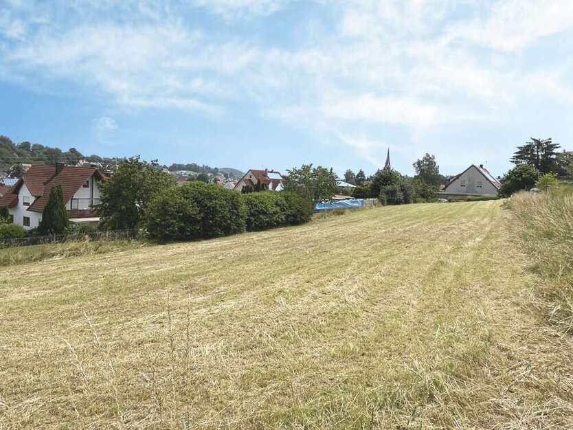 Grundstück zu verkaufen in Aindling 755.000 € 2550 m²
