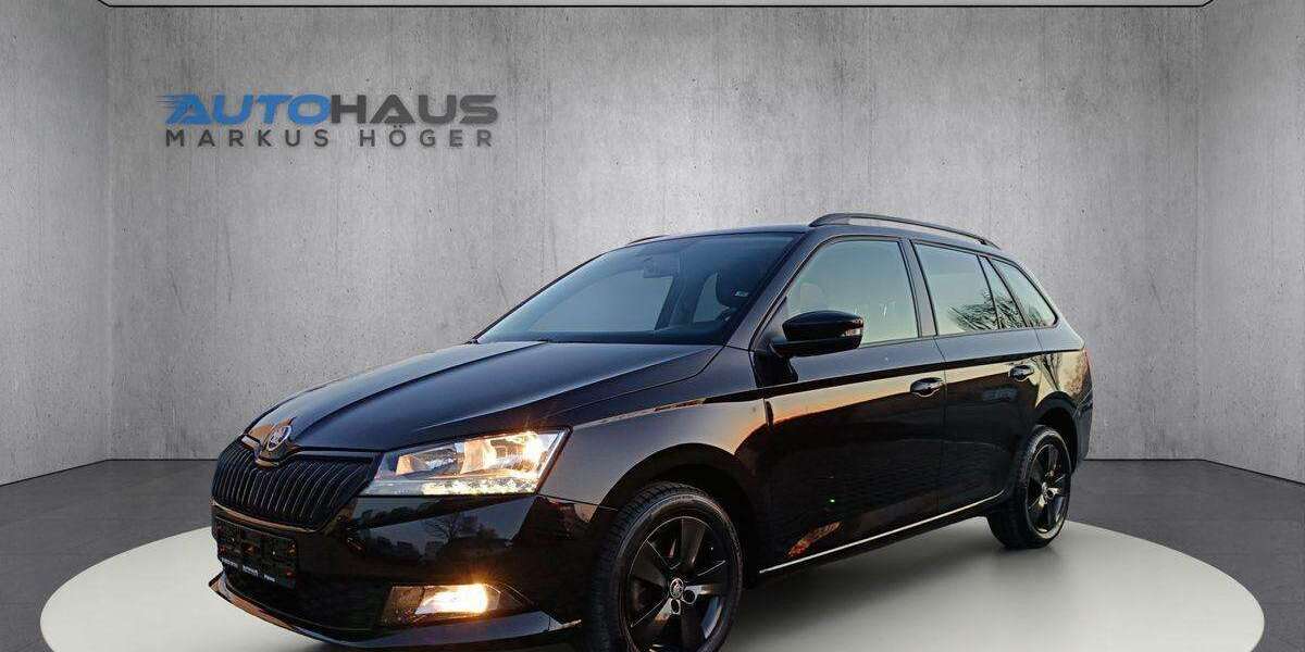 Skoda Fabia 48.929 km 15.890 &euro; Pöttmes 86554