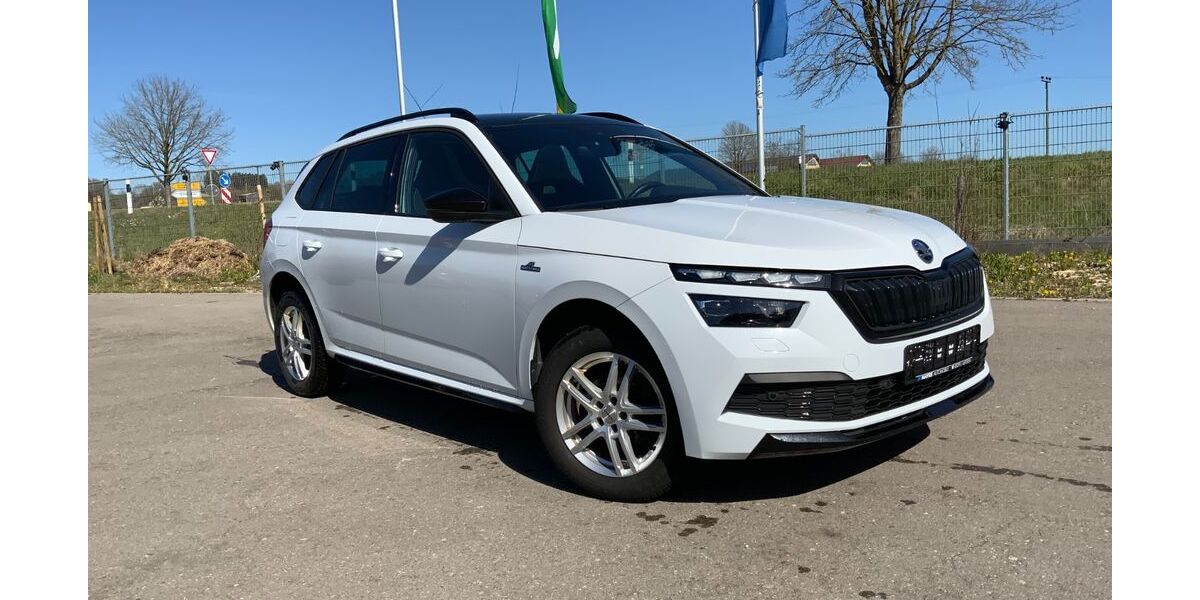 Skoda Kamiq 90.100 km 21.490 &euro; Altenmünster 86450