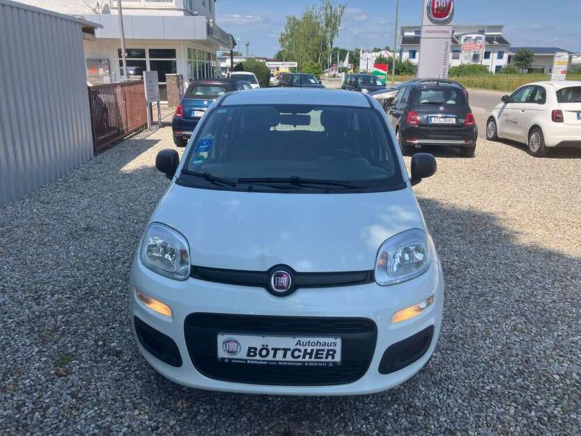 Panda