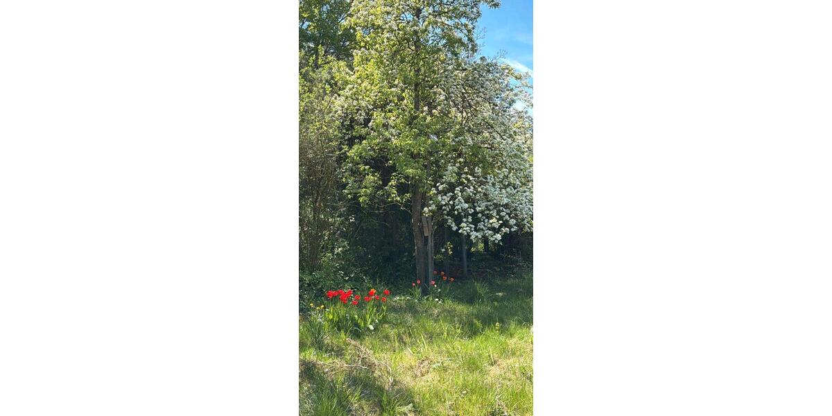 Erdgeschoßwohnung Gersthofen - 5 Zimmer, 182 m&sup2;, 927.000&euro; | Angebot:26990842