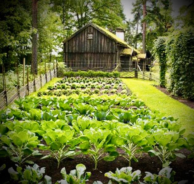 Einfamilienhaus Buttenwiesen - 3 Zimmer, 70 m&sup2;, 777&euro; | Angebot:25063931