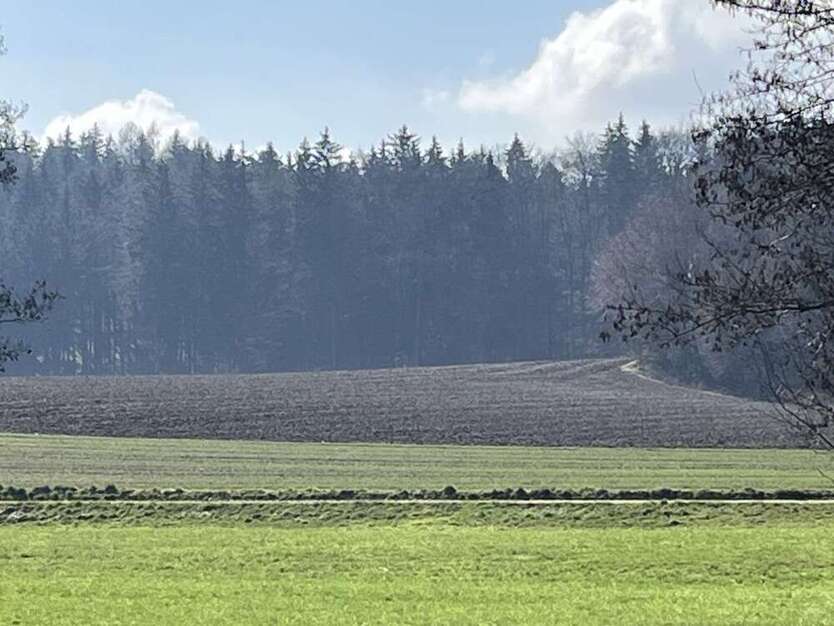Grundstück in Aindling Bach 240.000 € 22540 m²