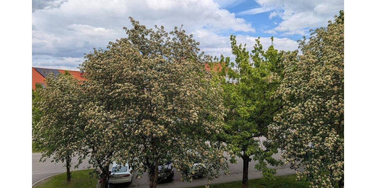 Etagenwohnung Mering Reifersbrunn - 3 Zimmer, 85 m&sup2;, 379.000&euro; | Angebot:26819542