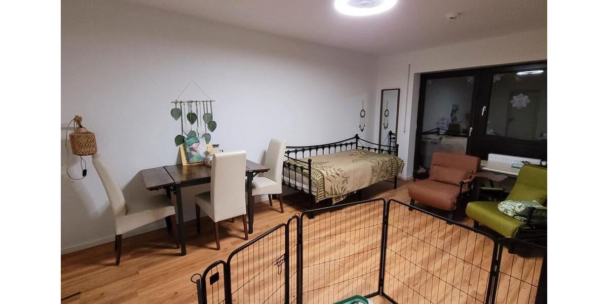 Einzimmer-Appartement ab 1.3.26 mit WBS I für Nachmieter 1 zimmer