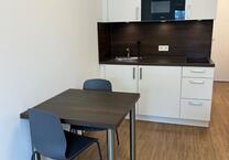 Möbliertes 1-Zimmer-Studentenapartment in Augsburg Innenstadt – N