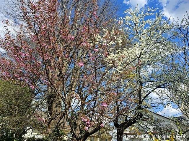 Einfamilienhaus Augsburg / Haunstetten Haunstetten - 6 Zimmer, 127 m&sup2;, 489.000&euro; | Angebot:26268295