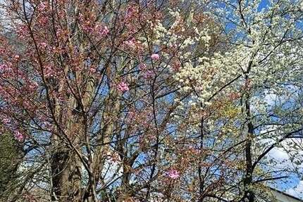 Haus Augsburg / Haunstetten Haunstetten - 6 Zimmer, 127 m&sup2;, 489.000&euro; | Angebot:26268295