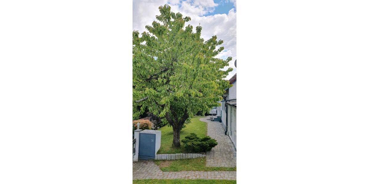 Einfamilienhaus Gablingen - 5 Zimmer, 120 m&sup2;, 460.000&euro; | Angebot:27021573