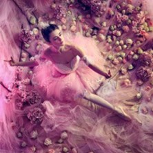 Augsburger Jugend Ballett (AJB) - Dornröschen 07.12.2025 Stadthalle Gersthofen