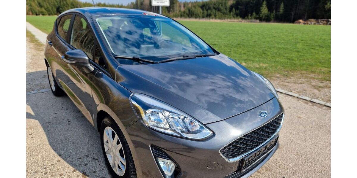 Ford Fiesta 29.899 km 12.780 &euro; Welden 86465