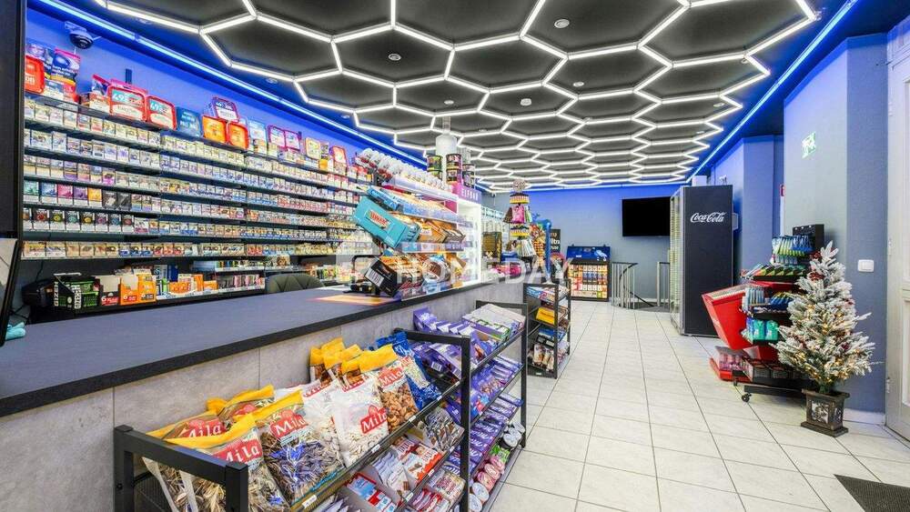 Einfamilienhaus Augsburg Hochzoll - 7 Zimmer, 390 m&sup2;, 840.000&euro; | Angebot:25677675