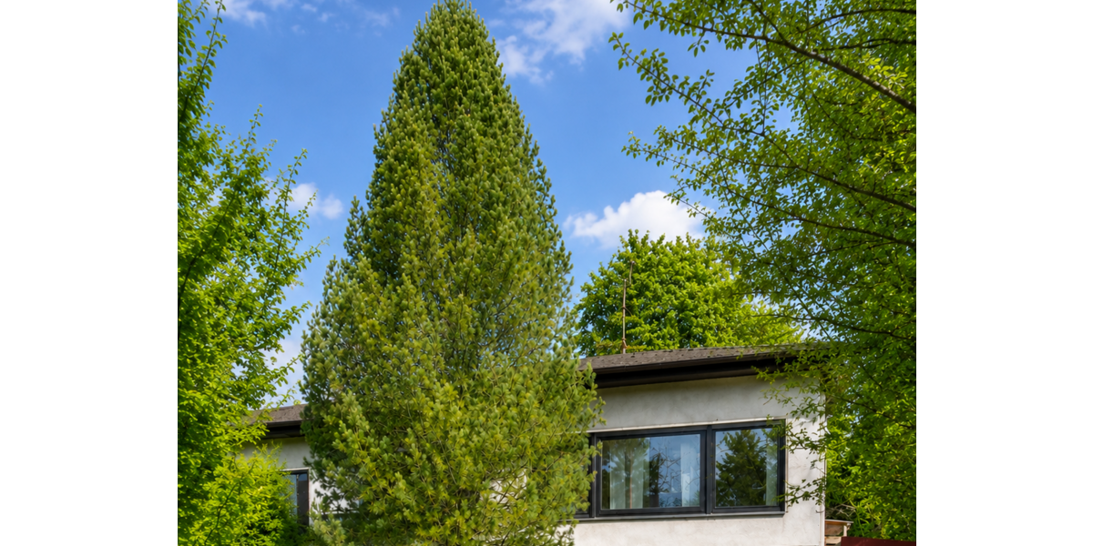 Einfamilienhaus Neusäß - 9 Zimmer, 192 m&sup2;, 819.000&euro; | Angebot:26801260