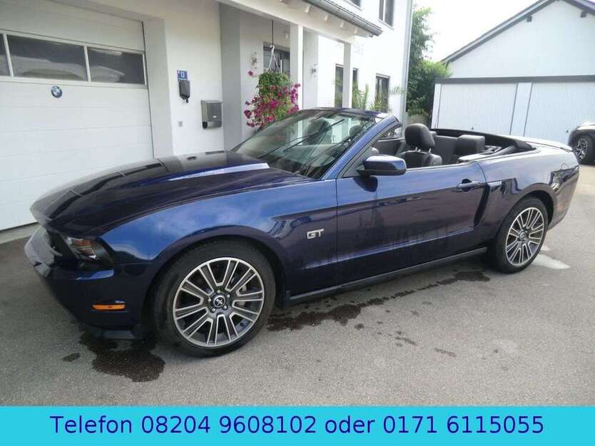 Mustang