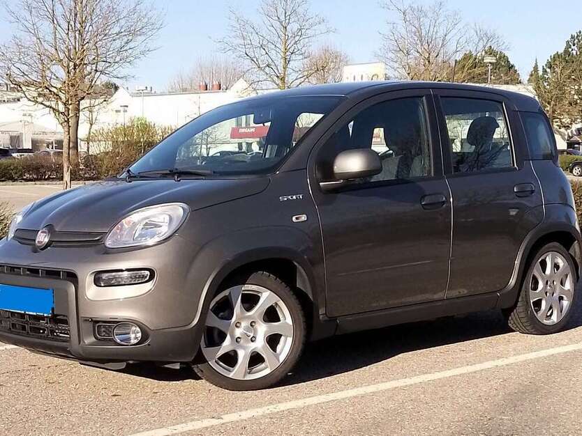 Panda