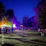 Internationales Impro Festival