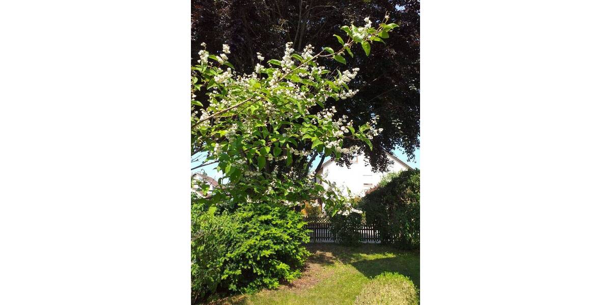 Doppelhaushälfte Kleinaitingen - 6 Zimmer, 226 m&sup2;, 529.000&euro; | Angebot:25970198