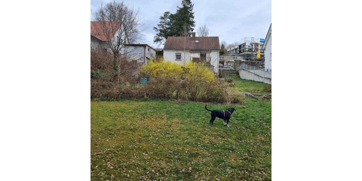 Grundstück Neusäß / Hammel Hammel - 590.000&euro; | Angebot:24751695