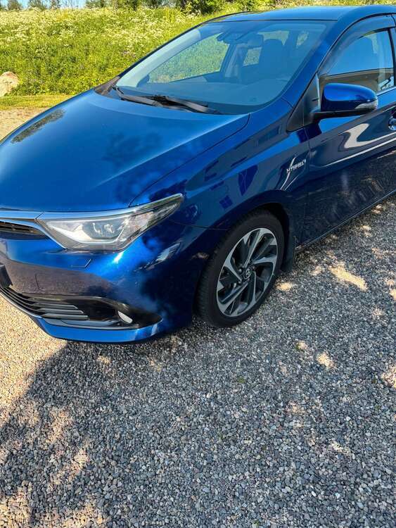 Auris