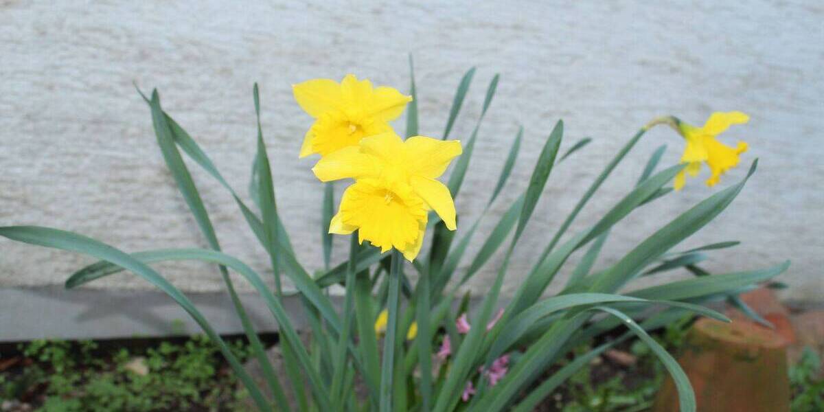 Doppelhaushälfte Kleinaitingen - 6 Zimmer, 226 m&sup2;, 529.000&euro; | Angebot:25970198