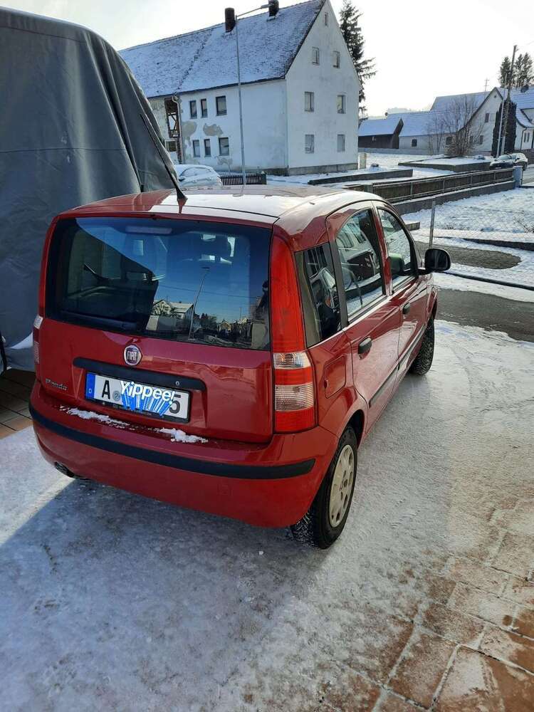 Panda